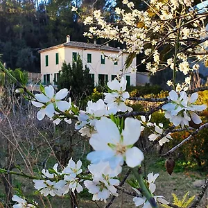 Landhuis Agroturisme Finca Sa Maniga, Bunyola